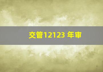 交管12123 年审